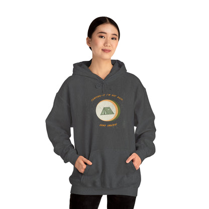 If I’m Not Back Send Snacks Hoodie - Unisex Camping Sweatshirt, Cozy Outdoor Apparel, Gift for Campers, Adventure & Travel Gear, Summer Nights Top